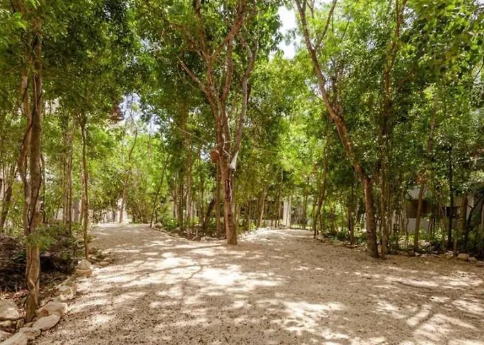Apartment Mi Selva Playa del Carmen