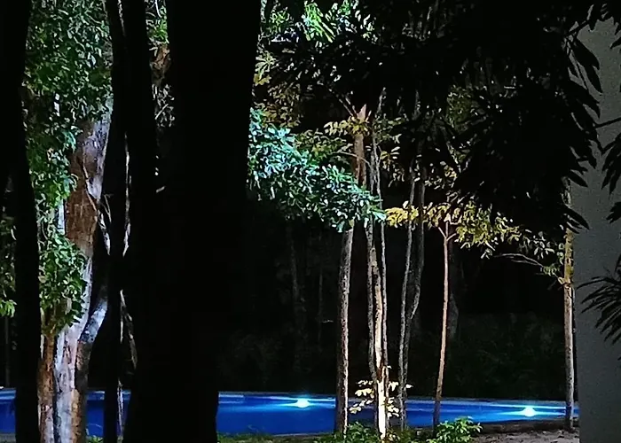 Mi Selva Playa del Carmen